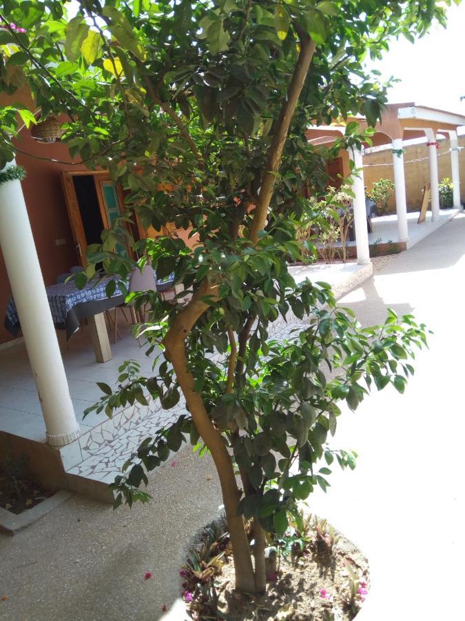 Chez Coumba Et Daniel Bed & Breakfast ซาลี ปอร์ตูดัล ภายนอก รูปภาพ